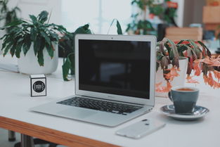 现代办公环境中的软硬件融合与知识共享